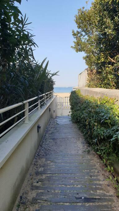 Arcareve - Grand Studio De Standing Avec Terrasse, Jardin Et Acces Direct A La Plage อาร์กาชง ภายนอก รูปภาพ